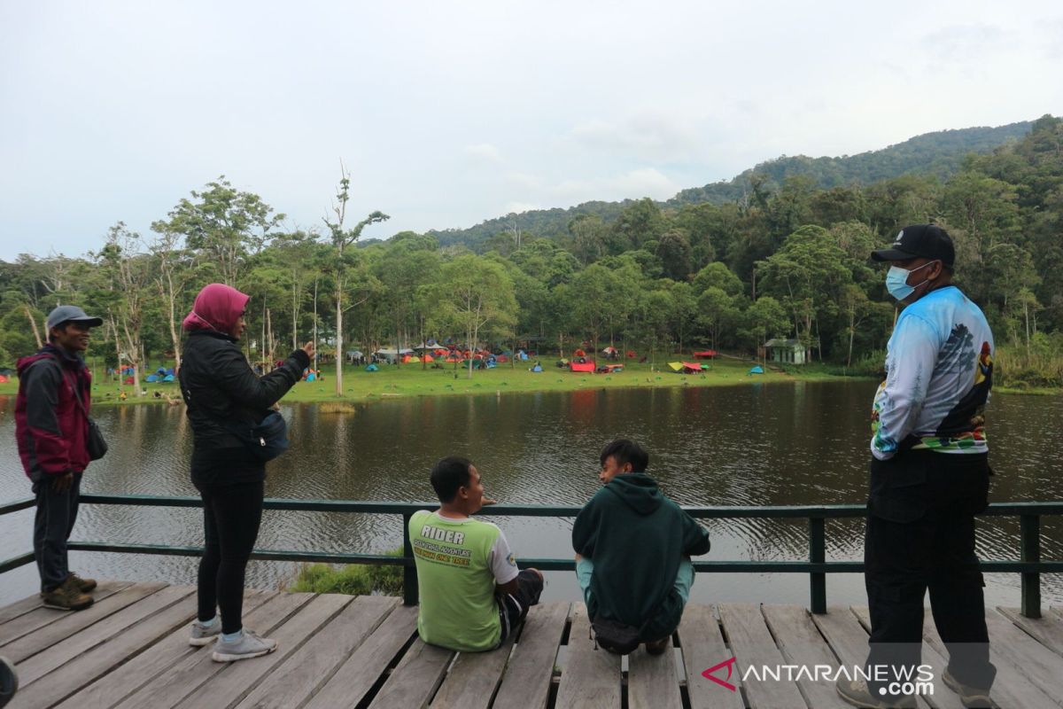 Mengenal jalur pengamatan burung endemik di Taman Nasional Lore Lindu