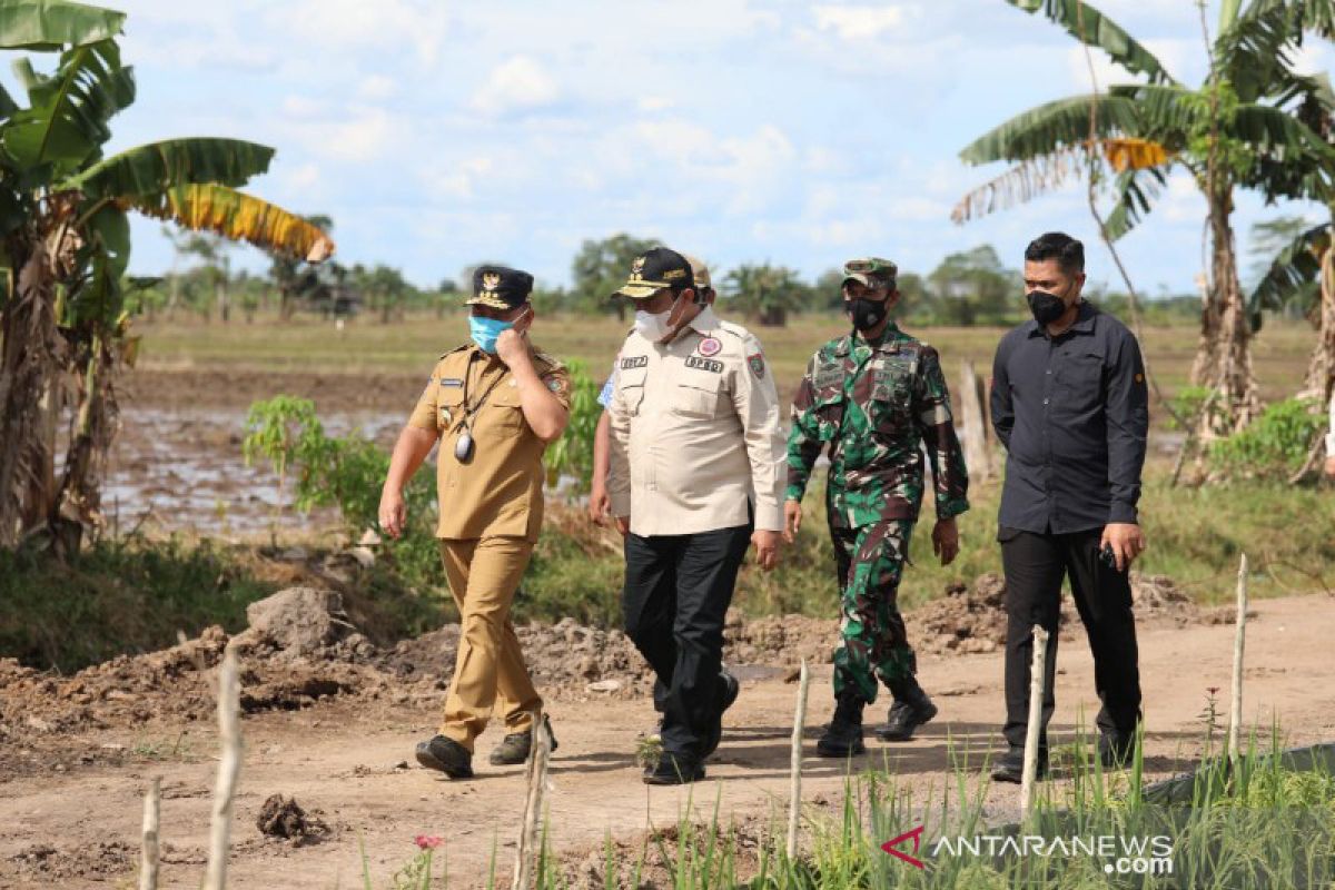 Gubernur Kalteng: Ketahanan pangan jadi bagian ketahanan nasional