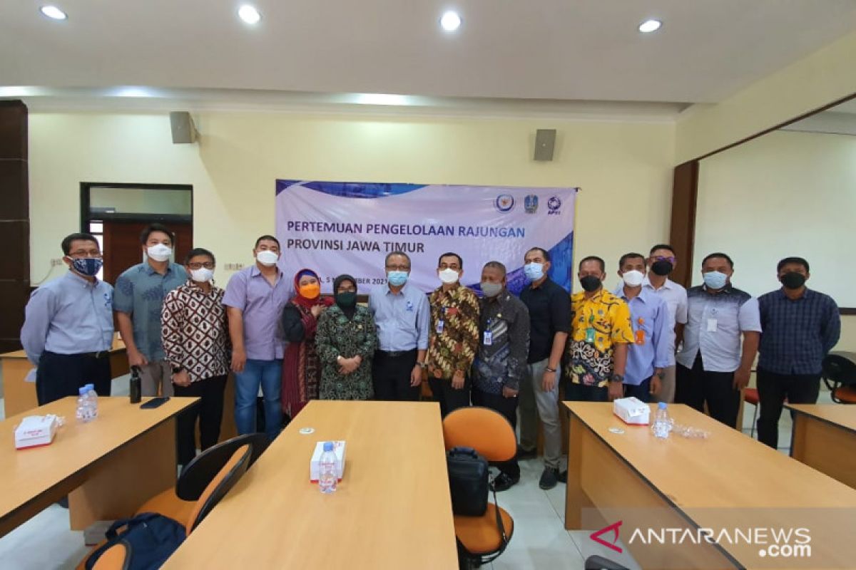 Kawasan lindung perikanan rajungan digagas di Pulau Talango Sumenep