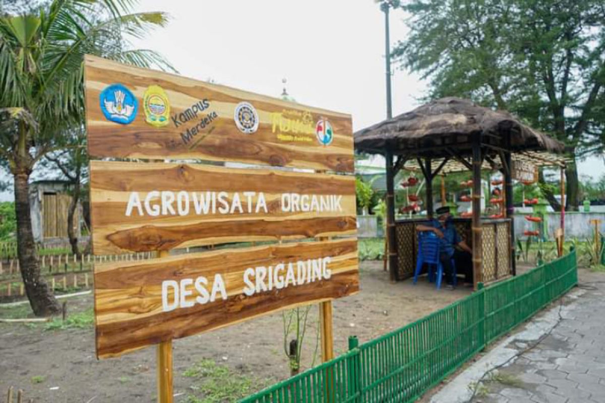 Pemkab berharap agrowisata organik geliatkan kembali wisata Pantai Samas