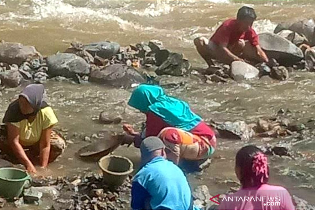 Warga Ujan Mas cari emas di sungai sambil menunggu panen kopi