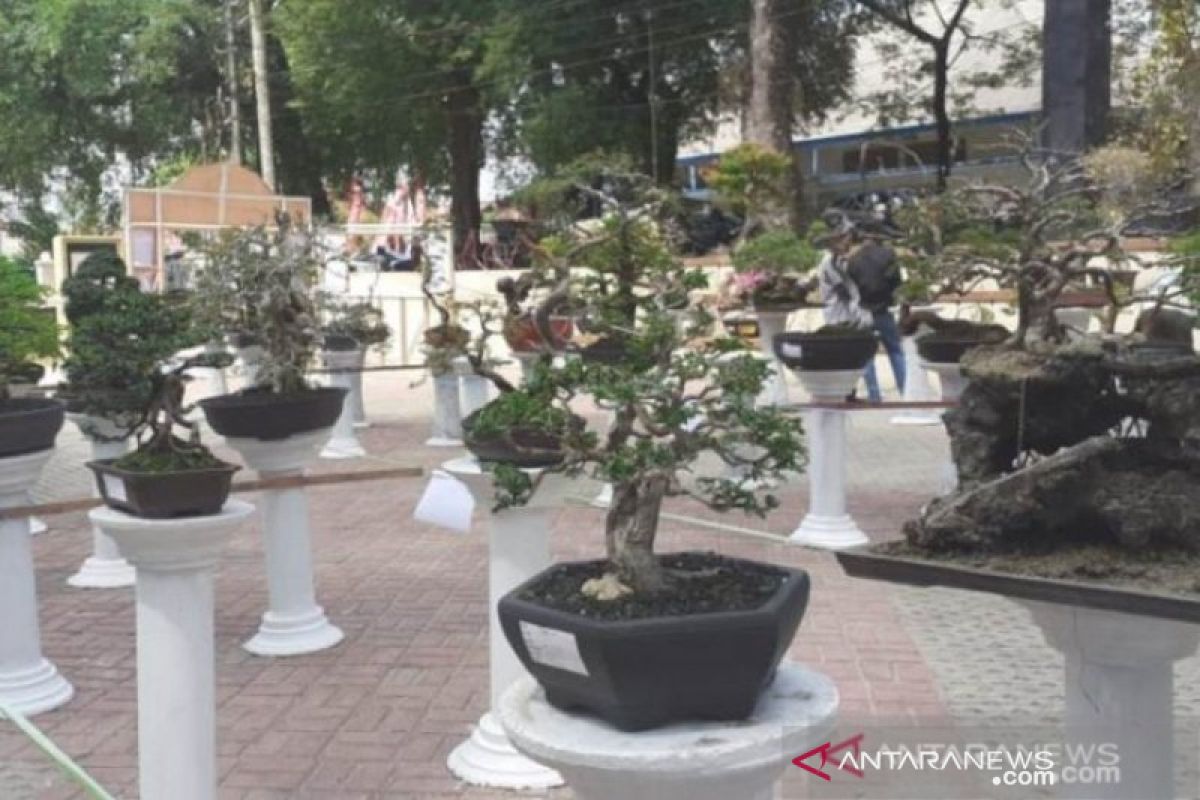 Pemkab Bangka Barat apresiasi PT Timah gelar pameran bonsai