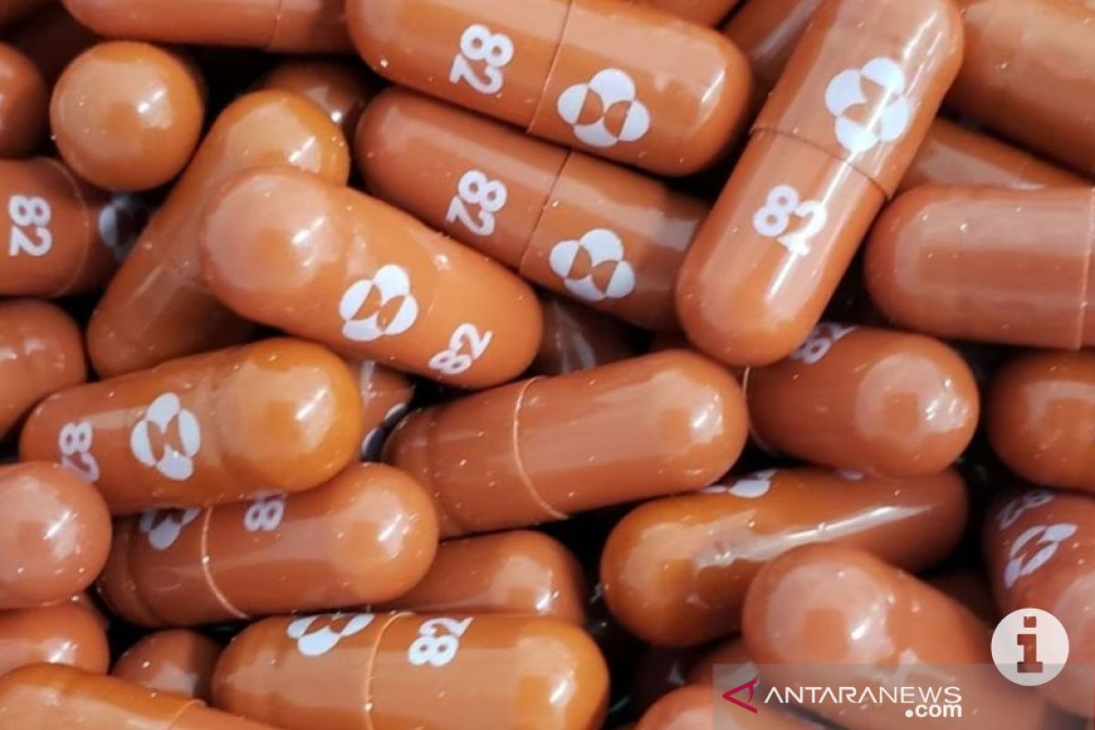 Menkes: Pfizer mengeluarkan produk obat antivirus pesaing Molnuvirapir