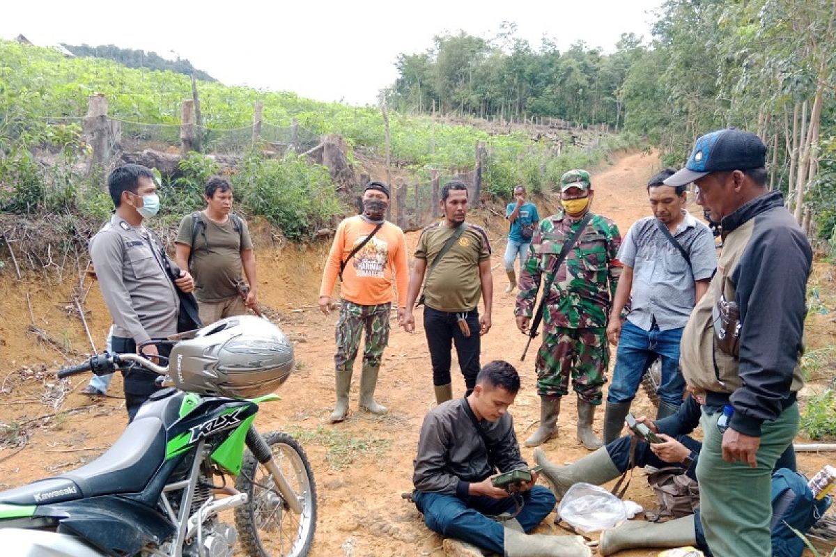 Tim gabungan kembali lakukan pencarian jejak harimau liar yang masuk perkebunan di Palas