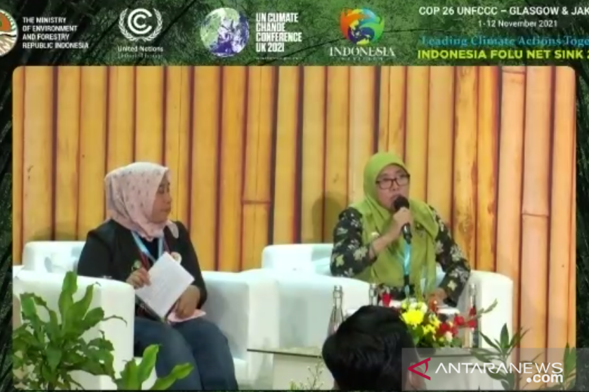 Expert believes women play central role in green economy