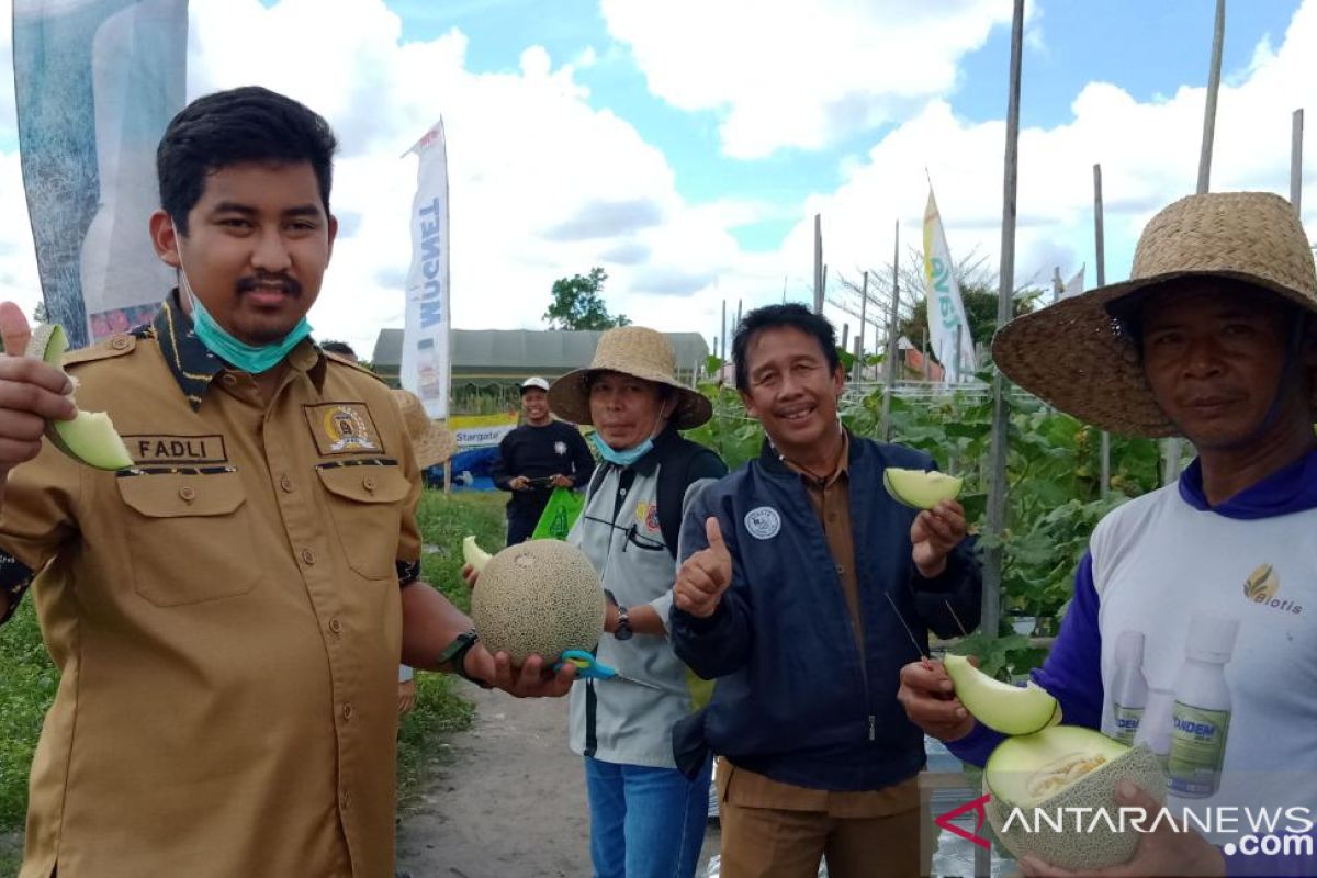 Ketua DPRD Banjarbaru promosikan agrowisata petik melon
