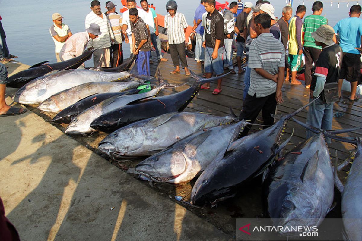 Nelayan di Aceh Jaya tidak melaut akibat cuaca ekstrem