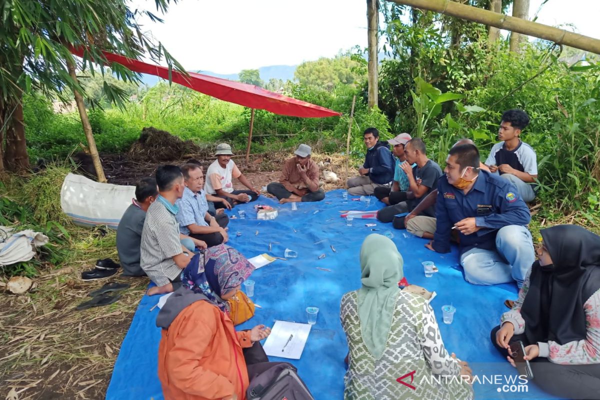 PKM Faterna Unand Bantu Perbaikan Manajemen Pakan di Kelompok Tani Ternak Sapi Kelok Rambai, Nagari Kapau, Agam