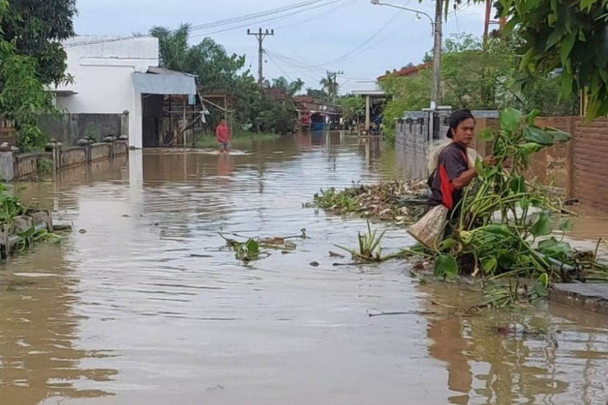 Banjir di Serdang Bedagai Sumut rendam empat kecamatan