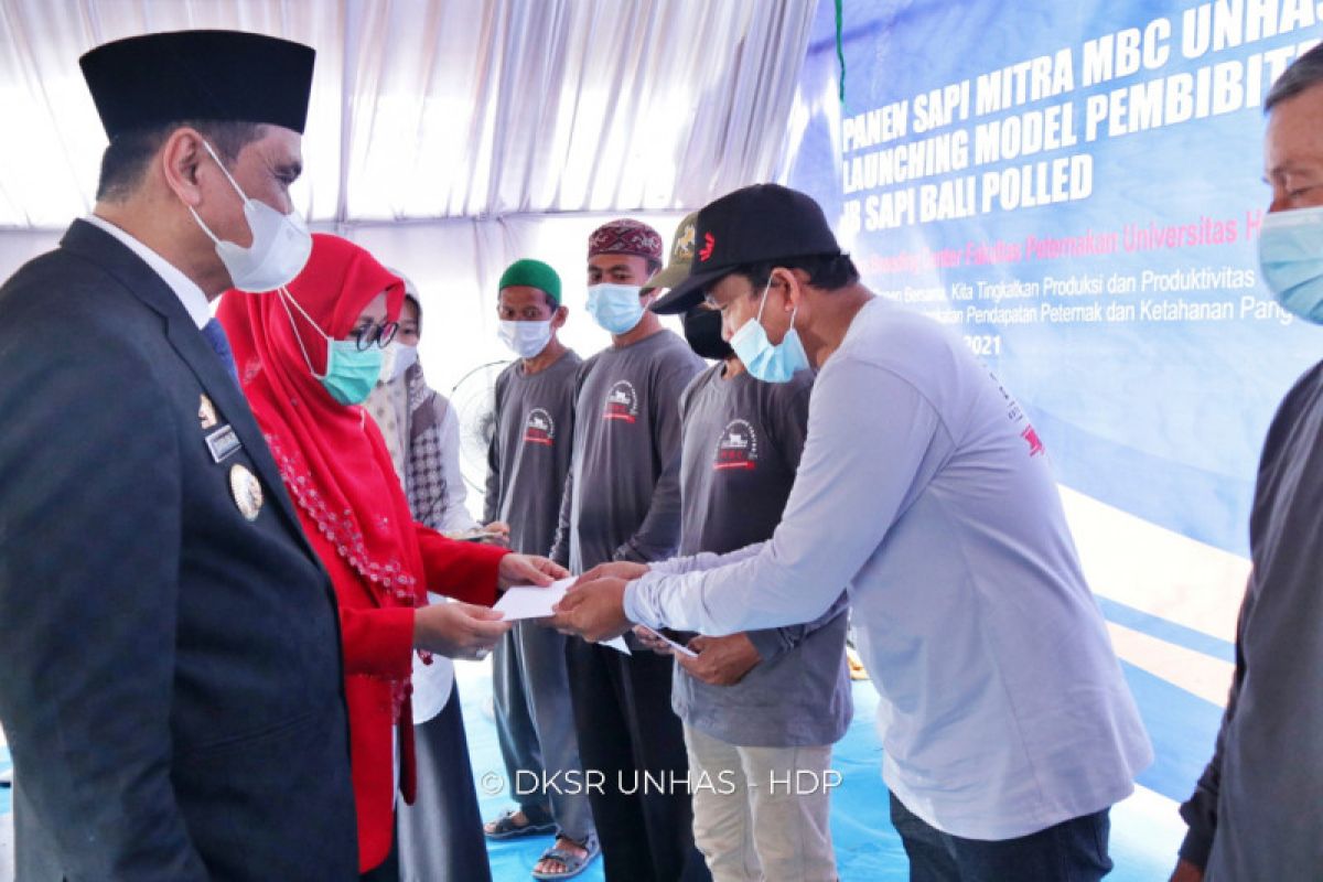 Unhas dan Pemkab Barru dorong kesejahteraan peternak Lewat MBC