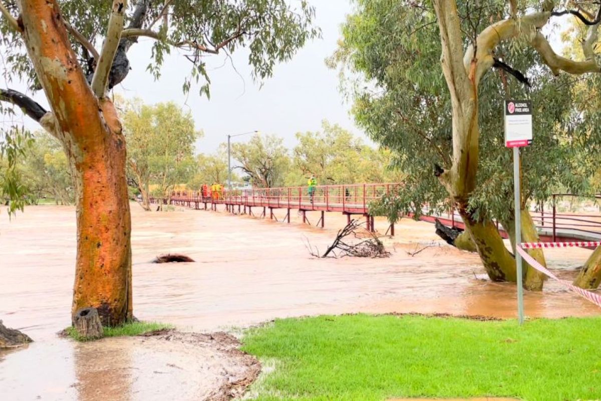 Banjir di Australia, seorang pria bergantung 6 jam di pohon