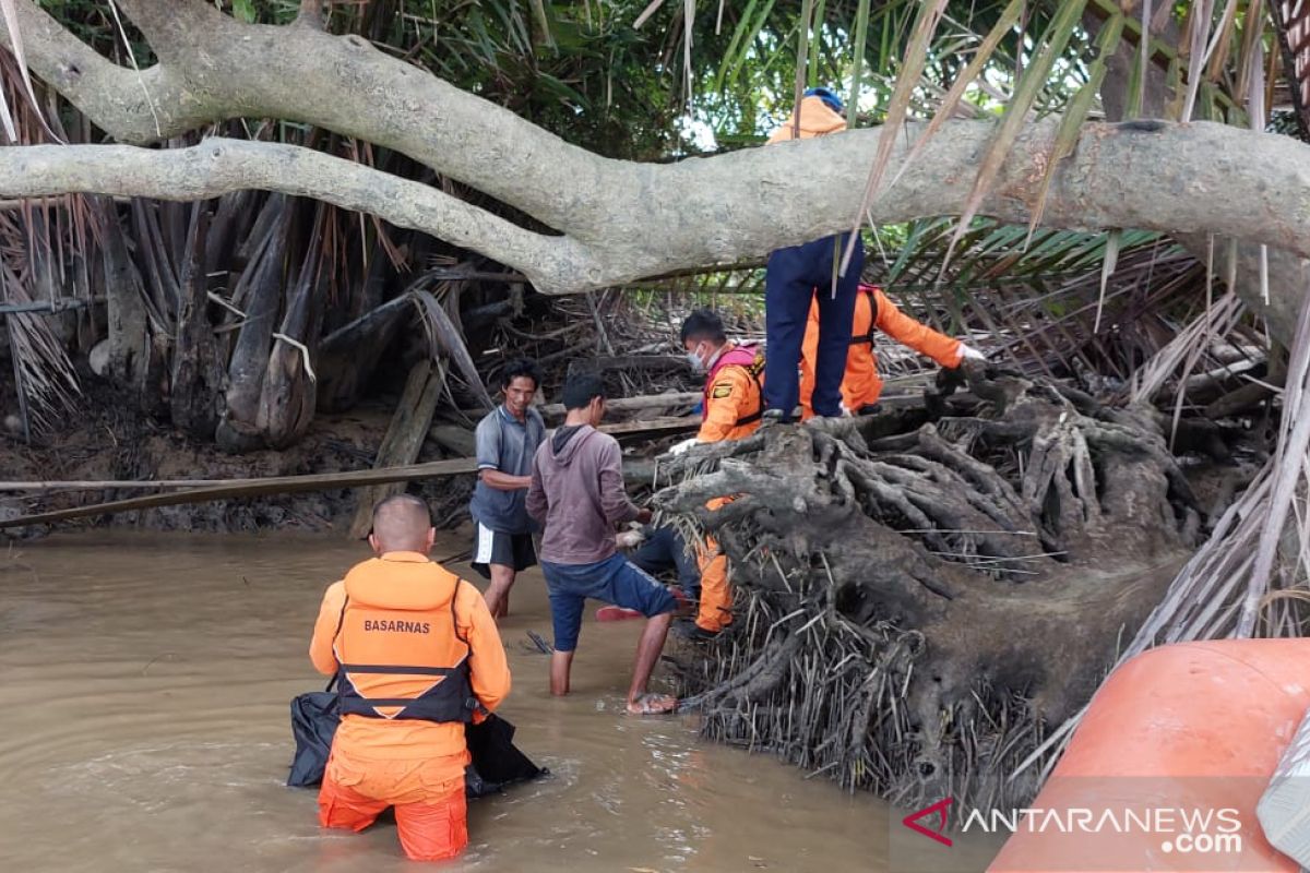 Seorang Petambak Tewas Diterkam Buaya di Perairan Mangkudulis, Bulungan