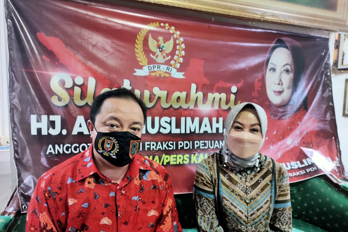 Hj Aida terharu dan bangga Kalsel juara festival anggrek nasional