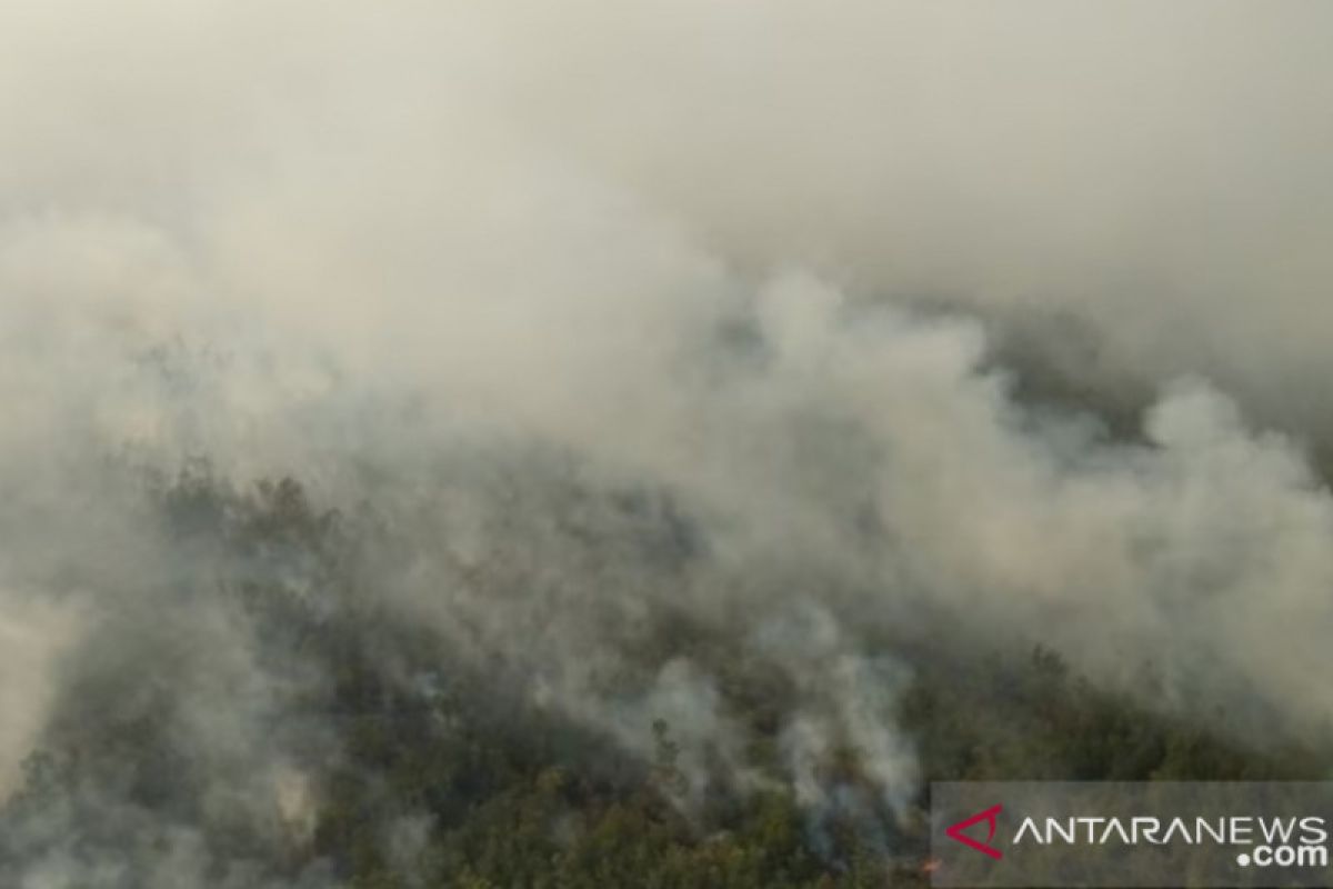 Kabupaten OKI rancang perlindungan lahan gambut untuk 30 tahun