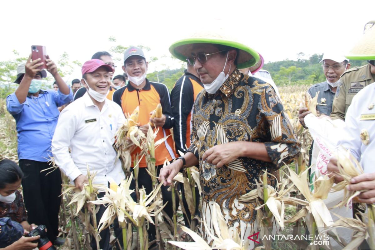 MPR dorong pemerintah daerah tingkatkan komoditas pangan