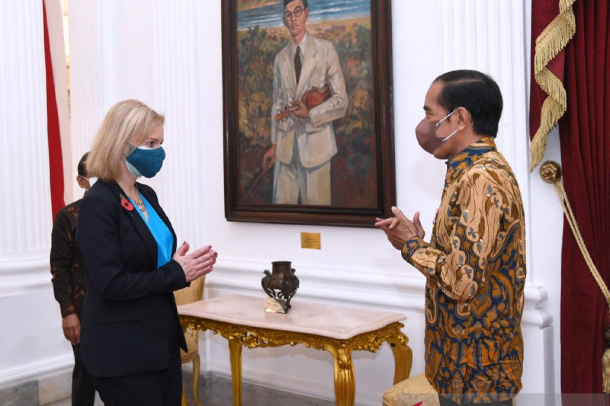 Presiden Jokowi bahas pasar karbon hingga vaksin dengan Menlu Inggris
