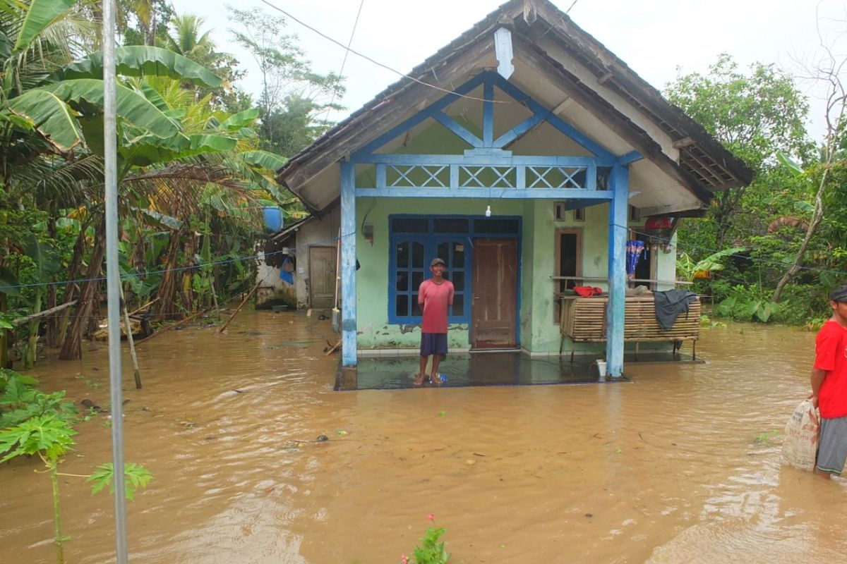 Jumlah warga terdampak banjir di Jember bertambah menjadi 1.294 KK
