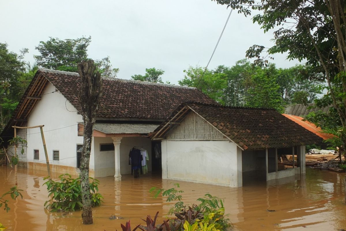 BPBD: 577 rumah terdampak banjir dan longsor di Jember