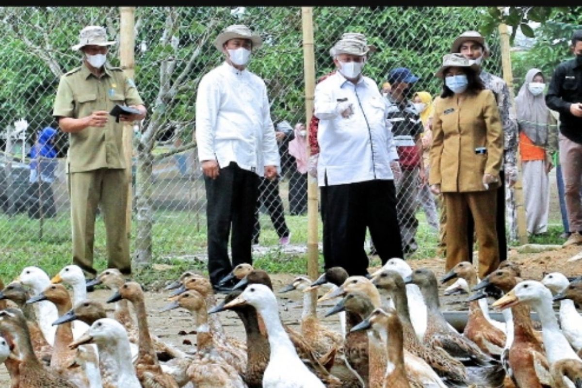 Santri Bangka Barat dibekali keterampilan pertanian terintegrasi