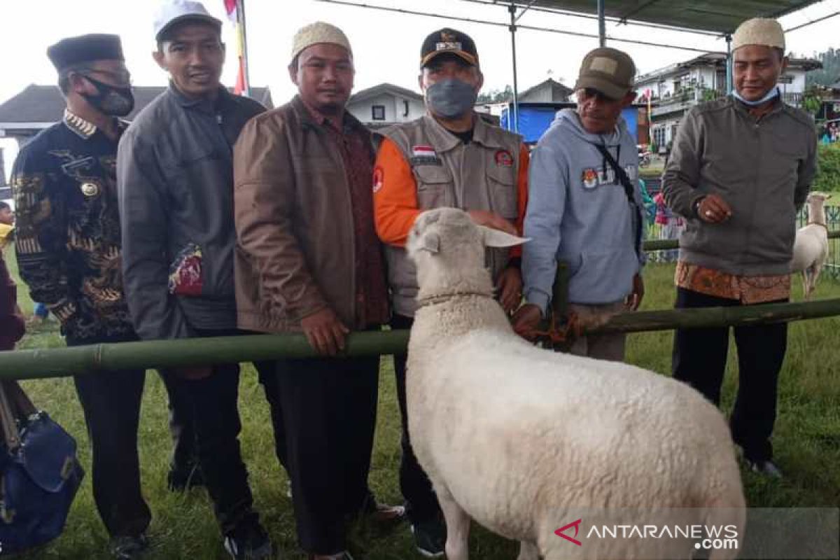 Wabup Wonosobo harapkan pelestarian "dombos" jadi perhatian peternak