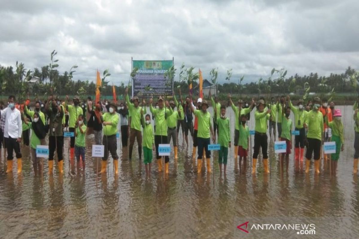 Pemkab Sukamara dan BRGM rehabilitasi mangrove kritis