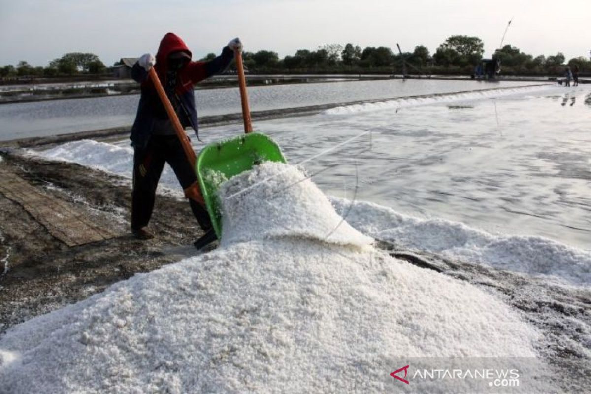 Disperindag mendorong pengembangan industri garam di Aceh Barat