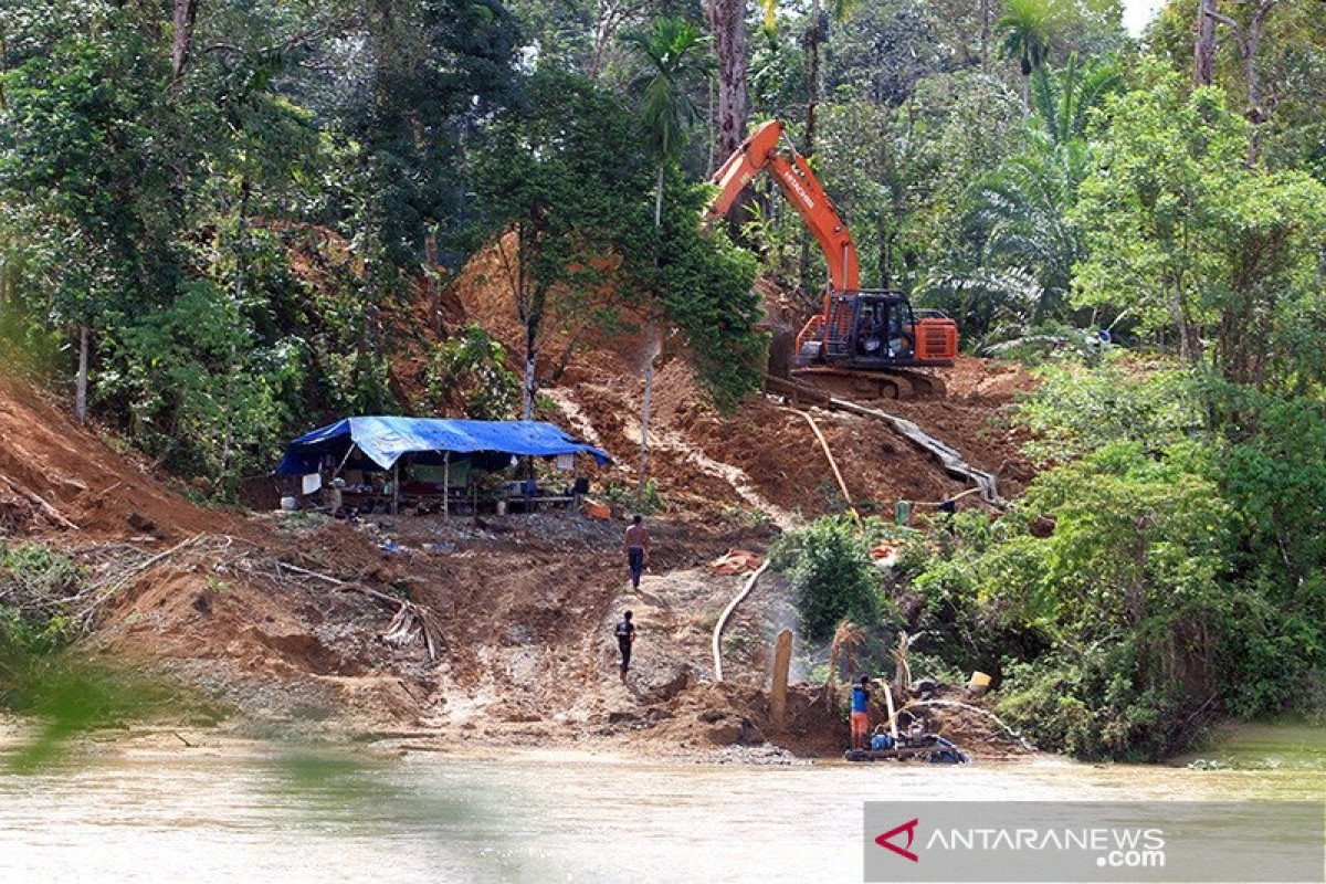 Walhi sebut 2.000 hektare hutan Aceh rusak akibat tambang emas ilegal