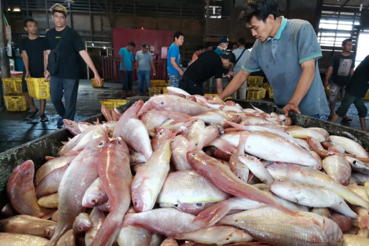 Rutin konsumsi ikan kurangi risiko kardiovaskuler