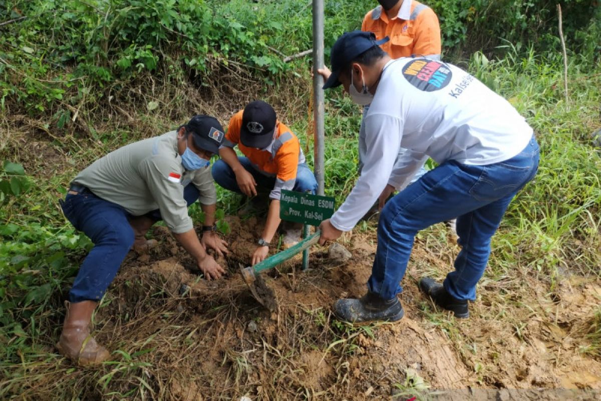 AGM tanam ribuan pohon di area bekas tambang ilegal