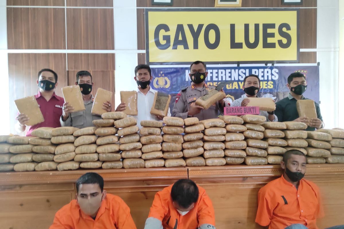 Polisi gagalkan penyelundupan 158 kilo ganja kering dari Gayo Lues ke Sumut