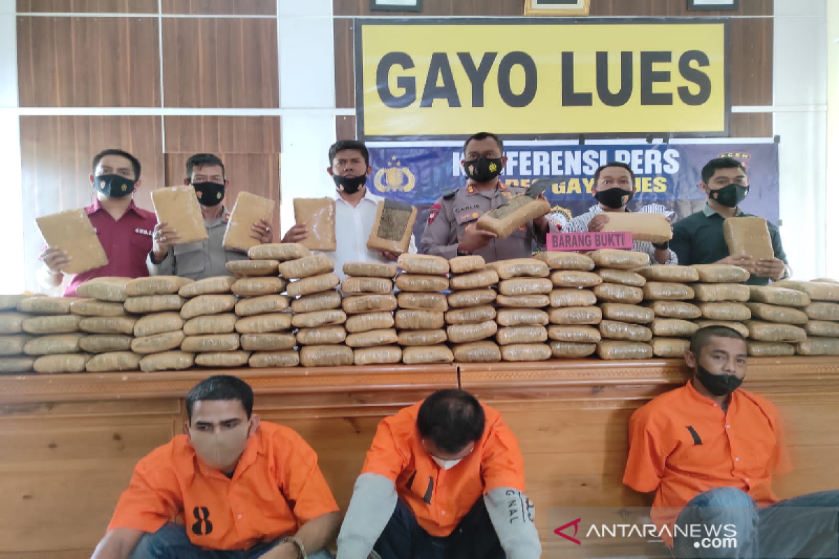 Polisi gagalkan penyelundupan 158 kg ganja ke Sumut