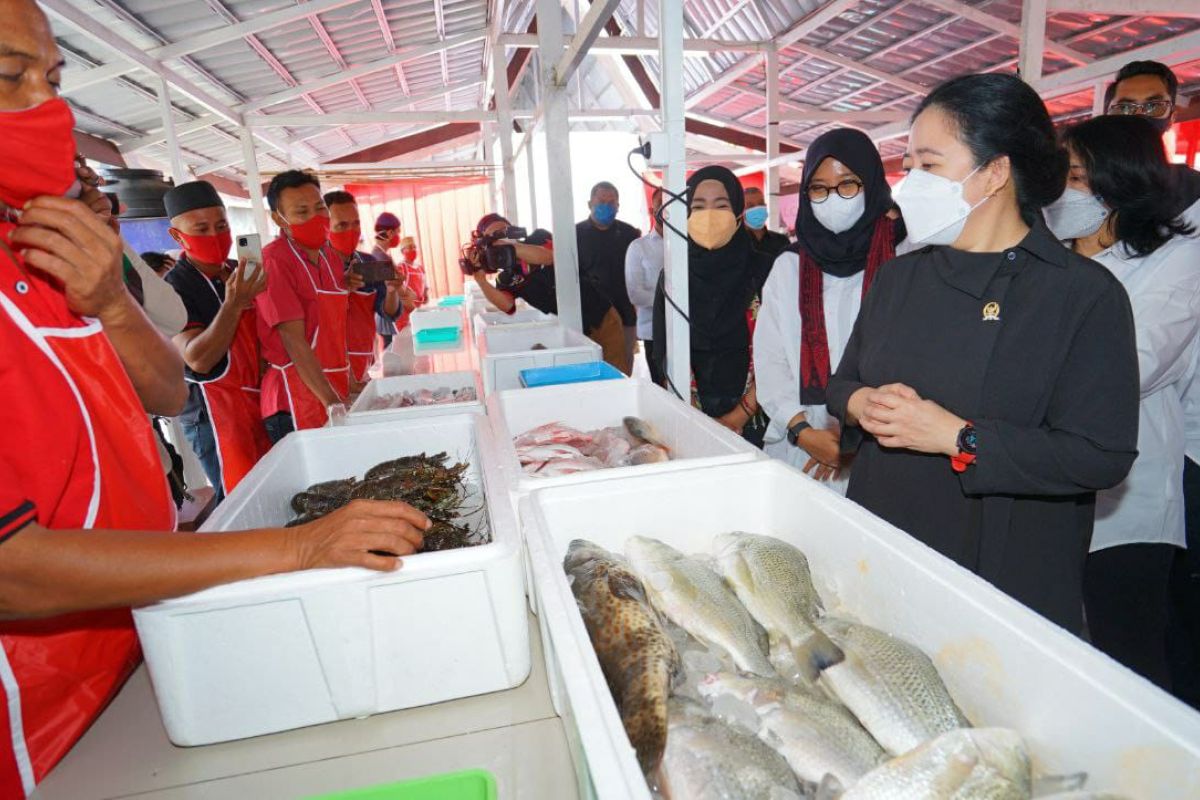 Kunker ke Banyuwangi, Puan Maharani borong produk olahan laut UMKM