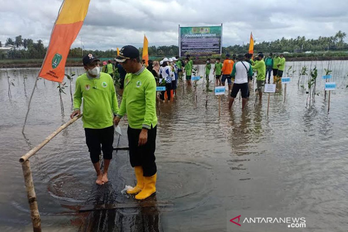 Lima Poktan di Sukamara ikut program penanaman mangrove dari KLHK