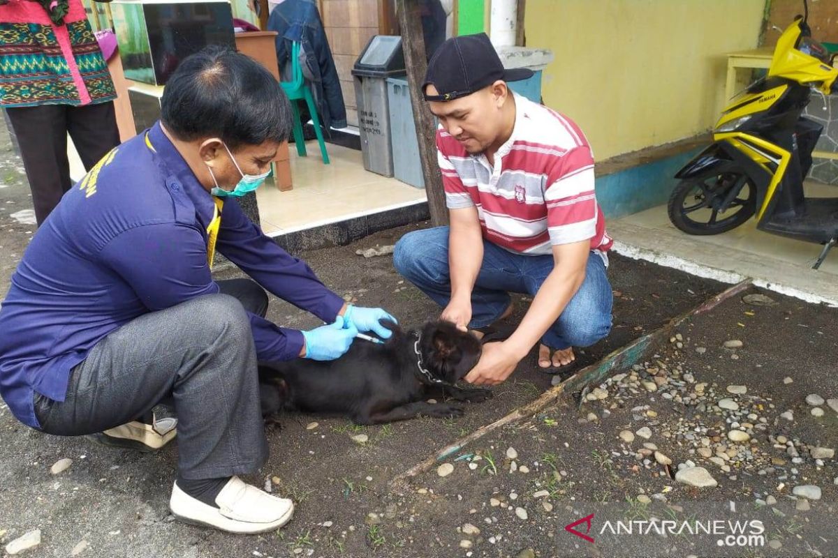 Stok vaksin hewan rabies di Rejang Lebong terbatas