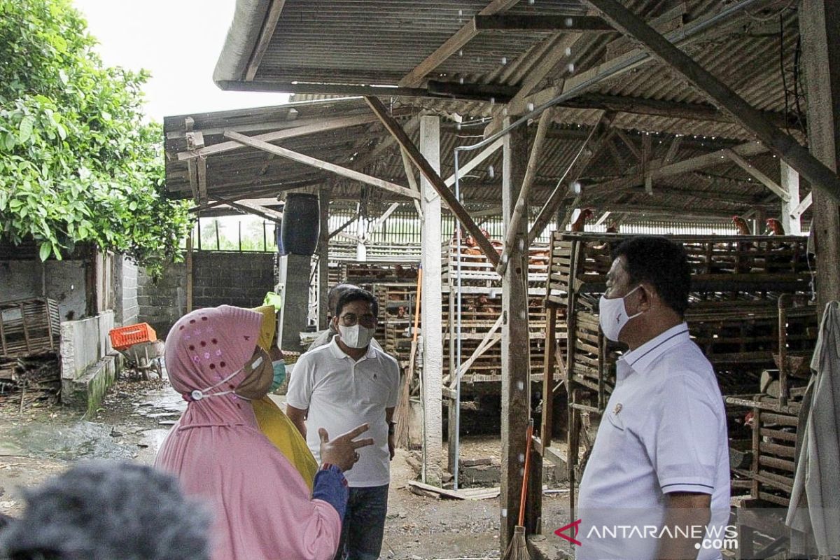 Kepala KSP mendengarkan keluhan peternak ayam soal anjloknya harga telur