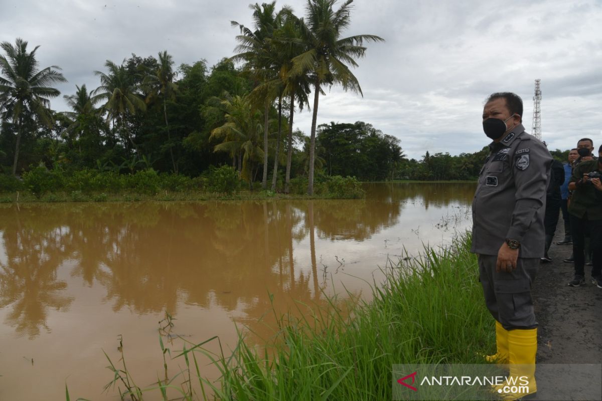 Banjir di Jember diduga akibat pendangkalan sungai