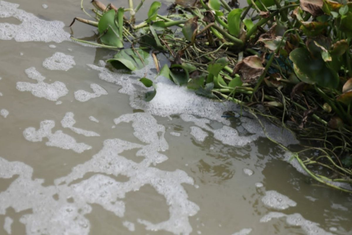 DLH Jabar tunggu hasil laboratorium pemeriksaan air Kali Rasmi Bekasi