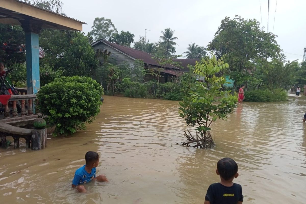 BPBD Langkat: 692 rumah di Batang Serangan dan Padang Tualang terdampak banjir