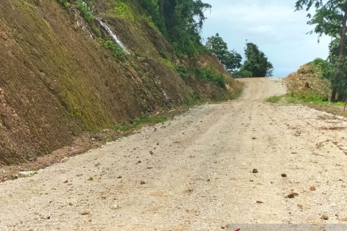 Gradual development of Trans-Papua road's sections ensured until 2024