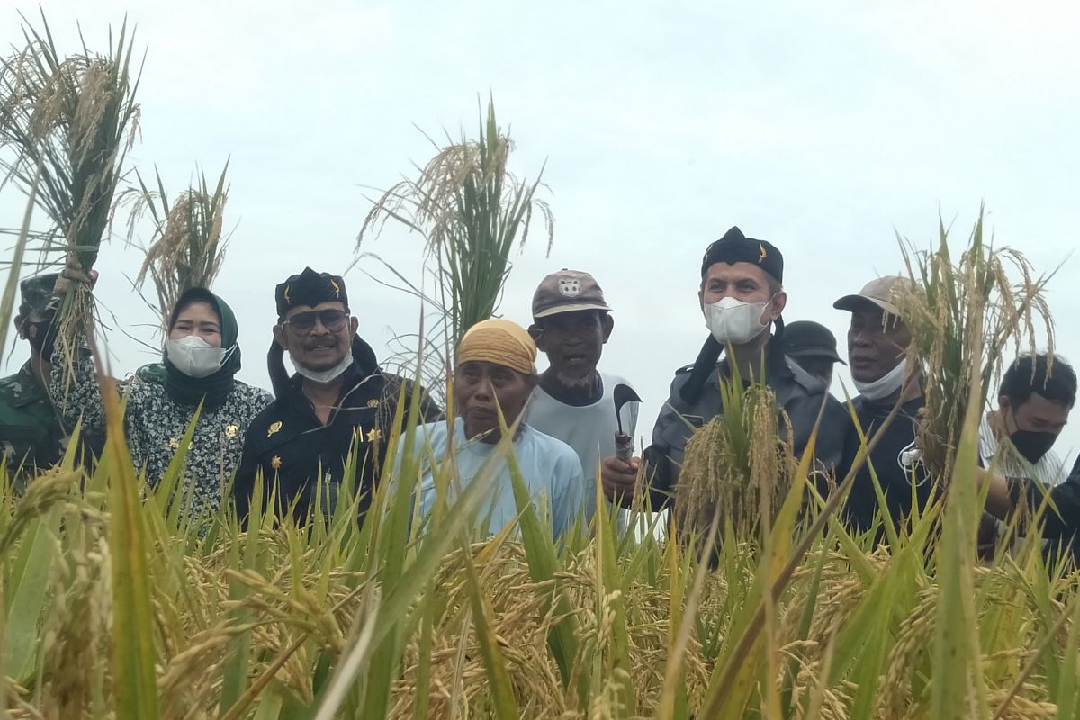 Mentan dorong Karawang jadi model pertanian modern  yang bisa tiga kali panen setahun