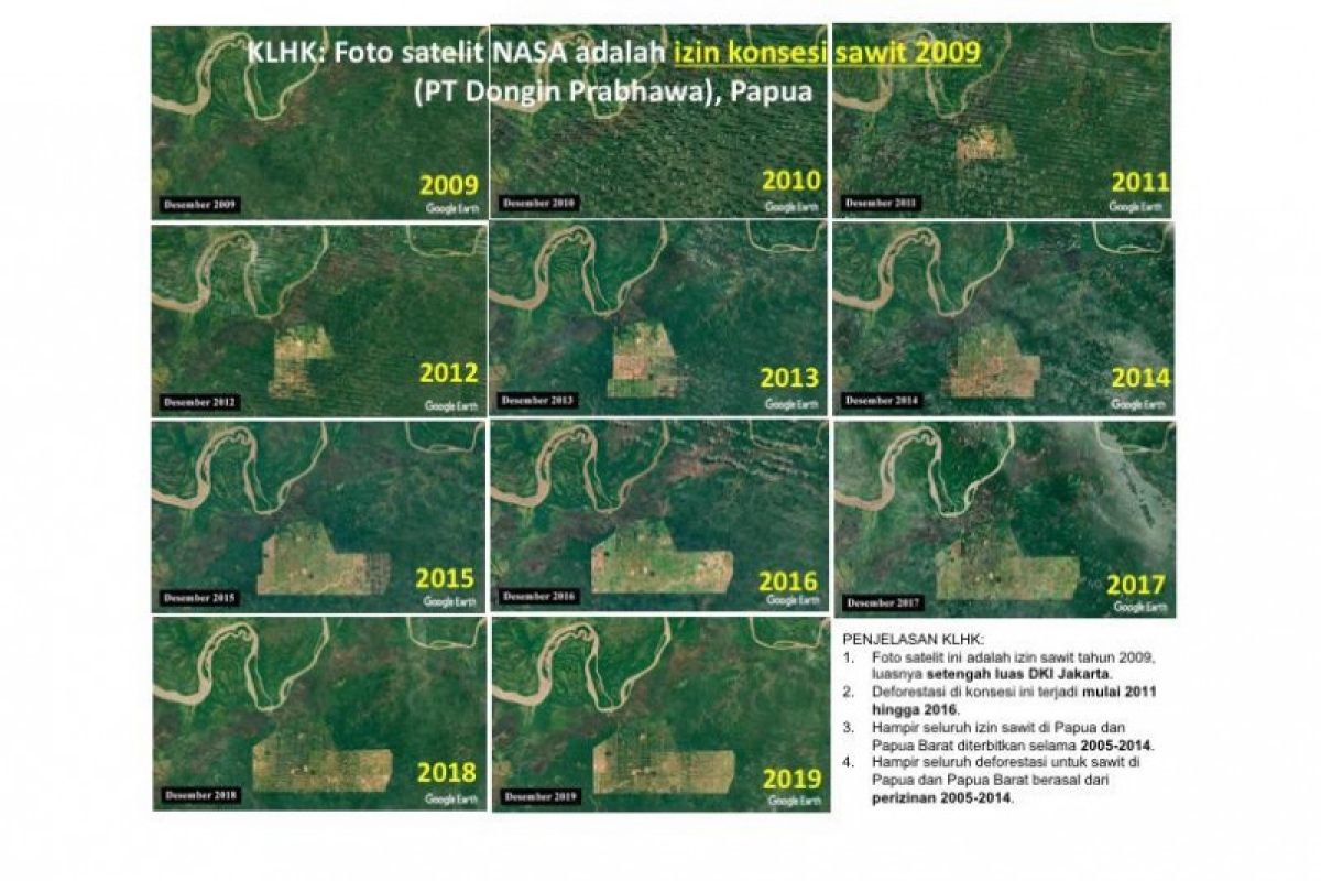 KLHK: Foto satelit NASA adalah izin sawit 2009