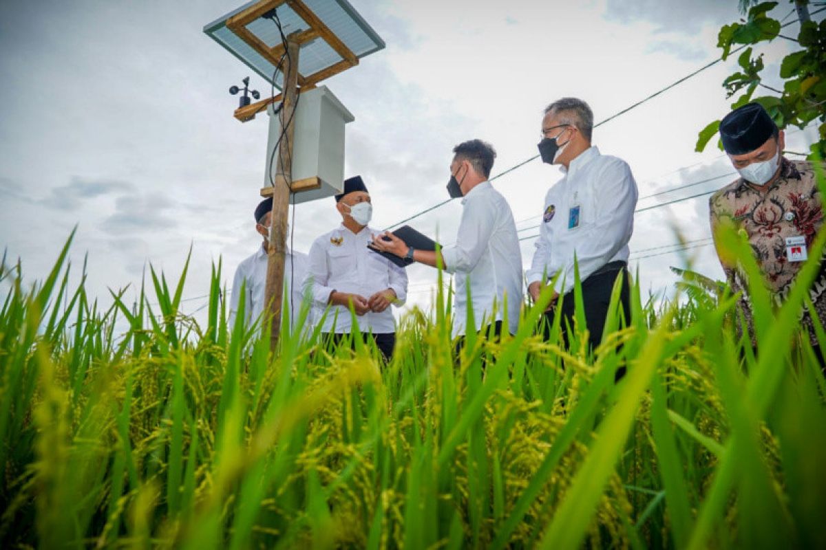 Menkop UKM dorong KSU tingkatkan pengelolaan lahan beras organik