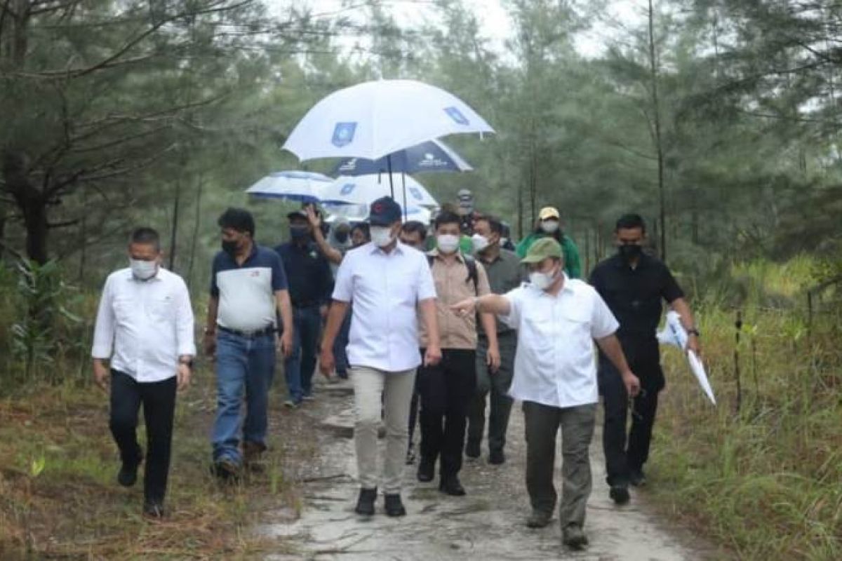Komisaris Utama Inalum kunjungi agro wisata Kampoeng Reklamasi PT Timah