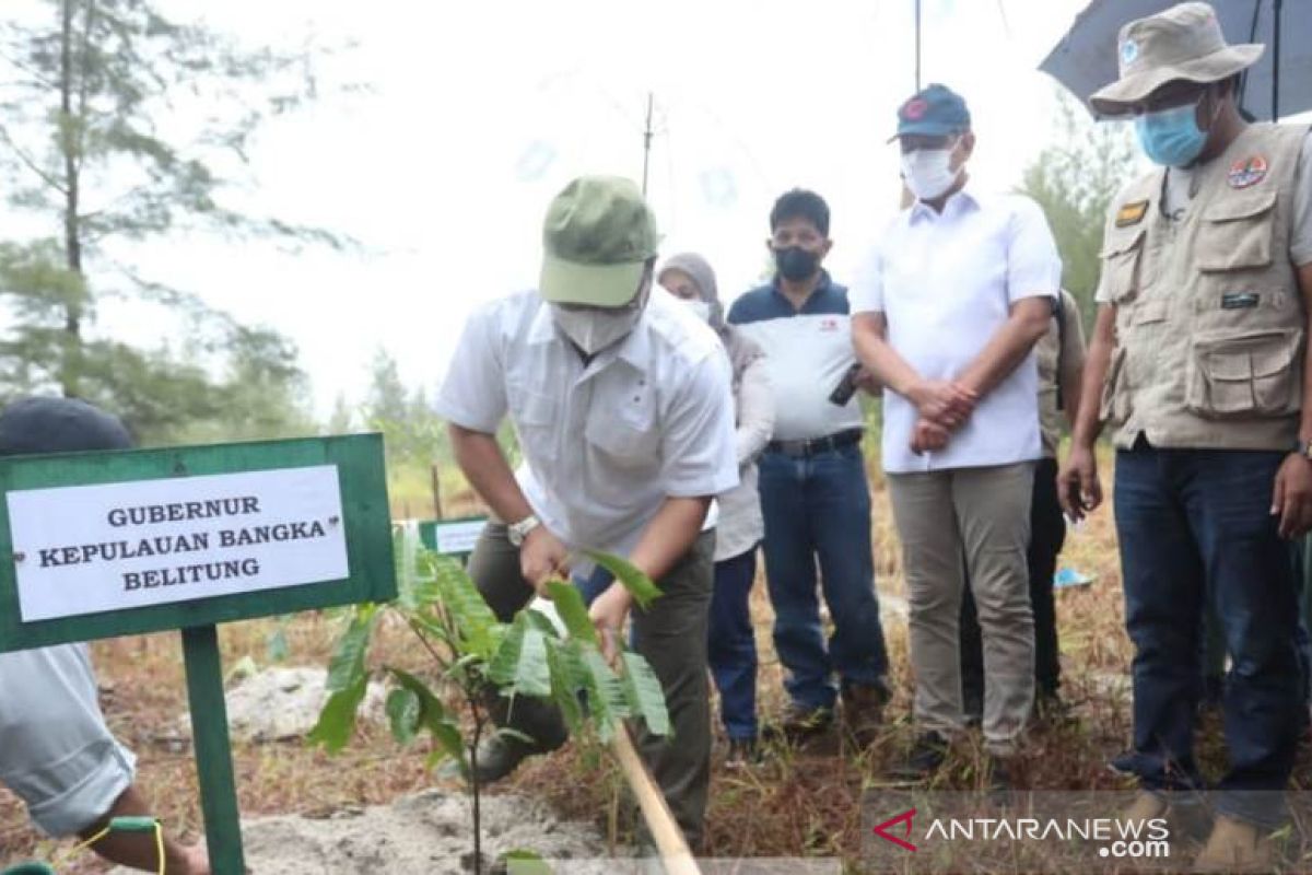 Komisaris Utama Inalum tinjau reklamasi bekas tambang timah di Bangka