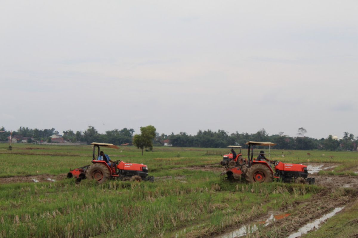 Lampung kembangkan pertanian terintegrasi