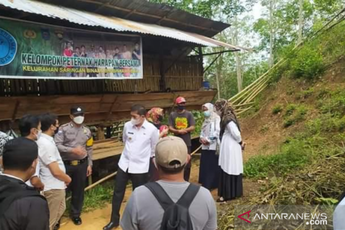 Pemko Sawahlunto awasi bantuan ternak melalui WhatsApp Group
