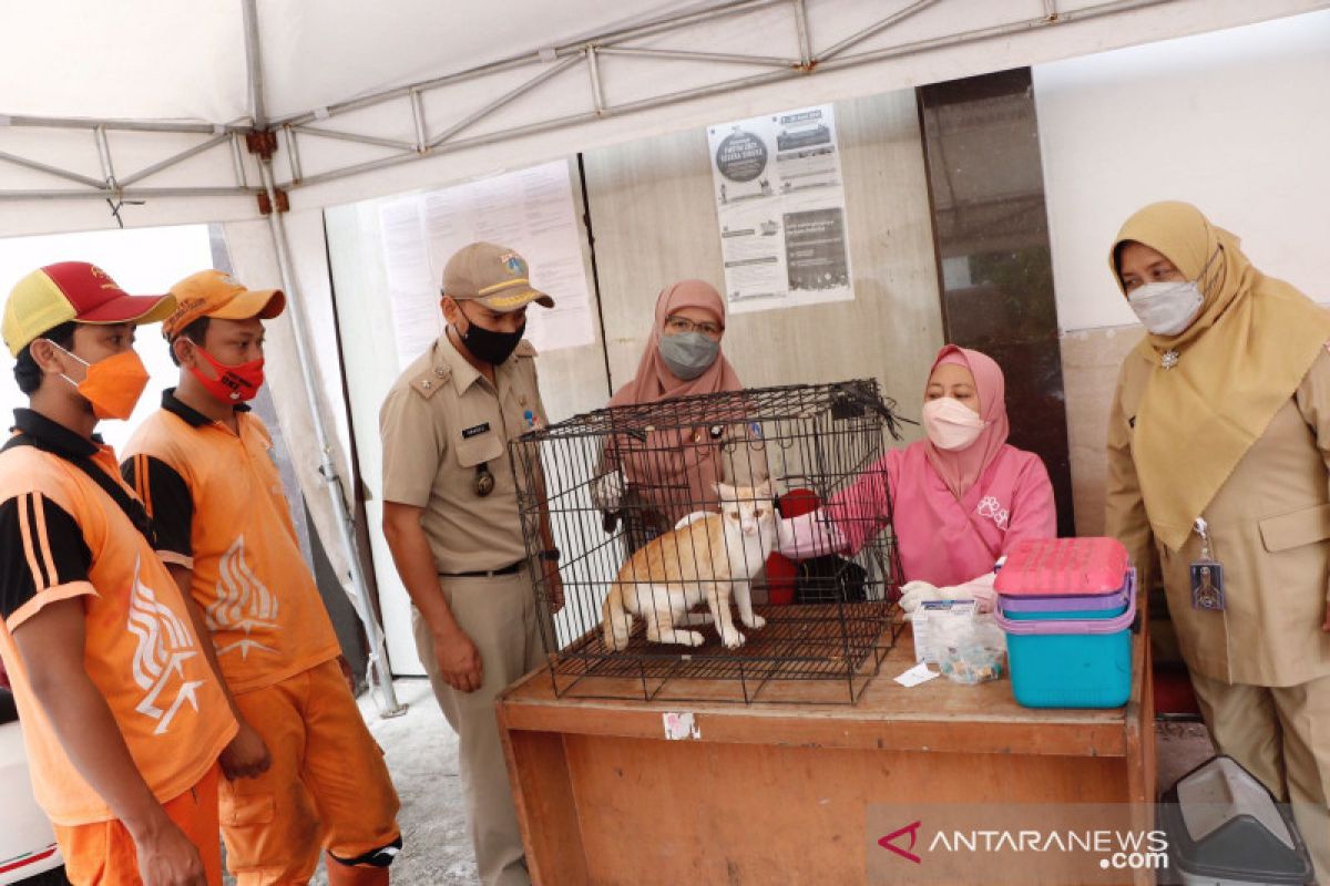 Sudin KPKP Jakpus catat 4.500 hewan sudah vaksin rabies selama 2021