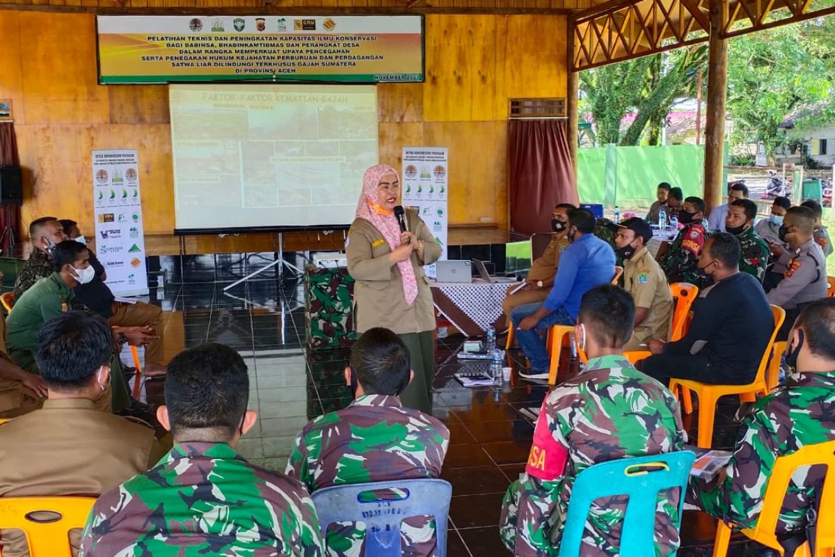 Cegah konflik satwa liar, ini yang dilakukan BKSDA di Aceh Jaya