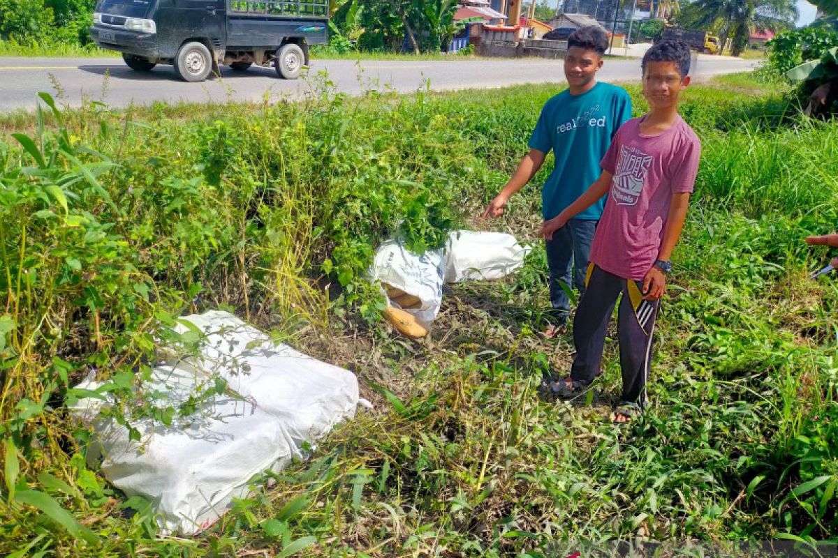 Polres Merangin amankan 80 kg ganja dipinggir jalan Lintas Sumatera