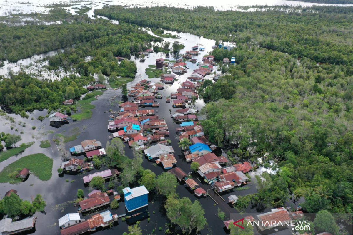 PMII soroti penebangan pohon secara liar di hutan Kapuas Hulu